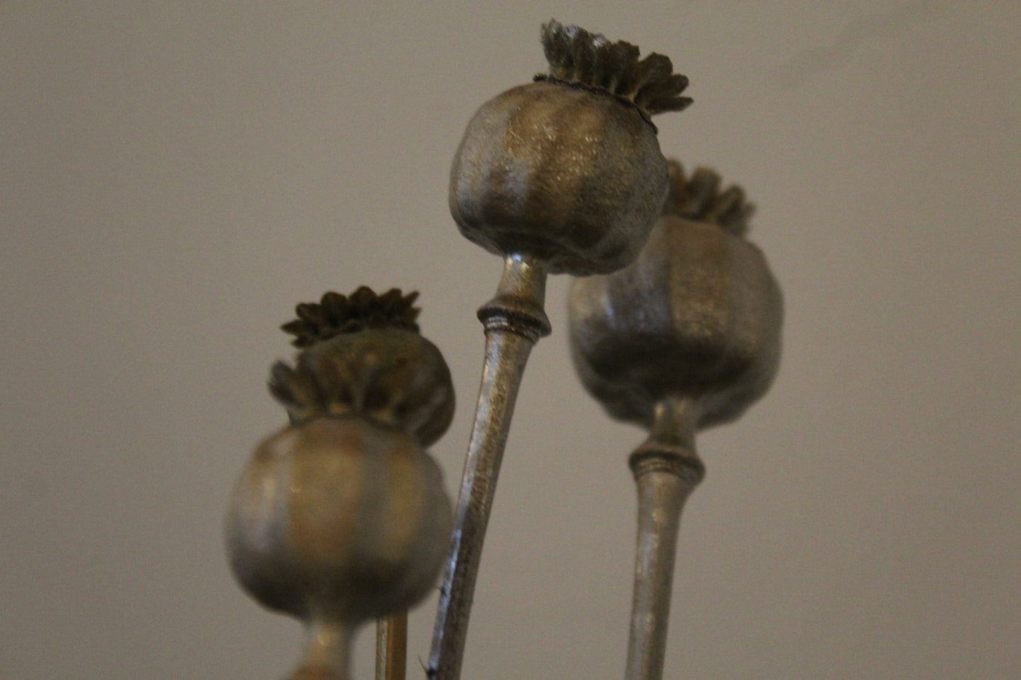 individual stems