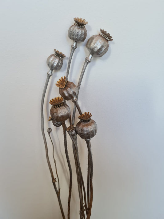 dried poppy heads - silver